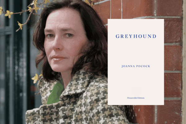 Joanna Pocock - credit Ione Saizar