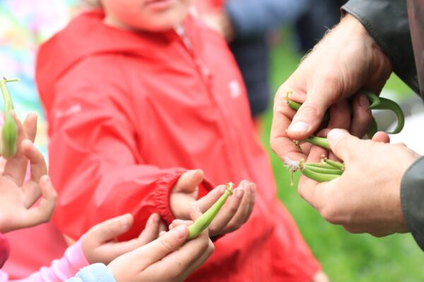 Slade Farm School Visits