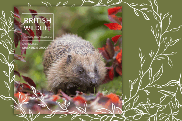British Wildlife Photography Awards 14