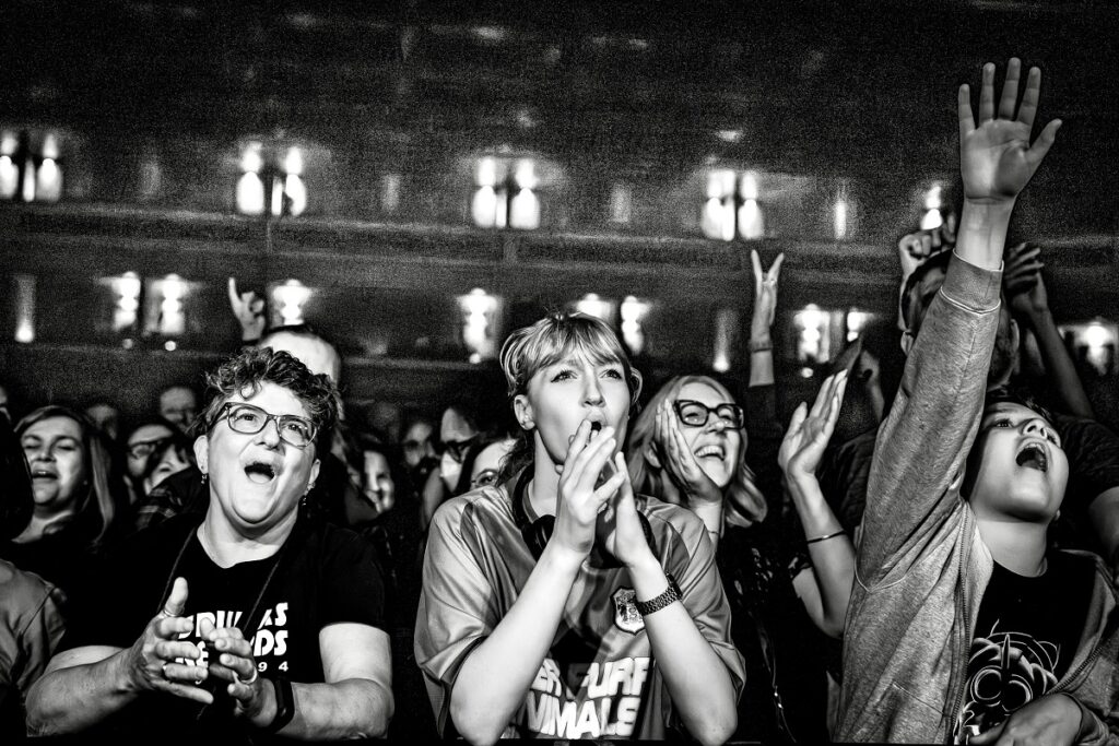Super Furry Animals' front row - credit Tim Alban