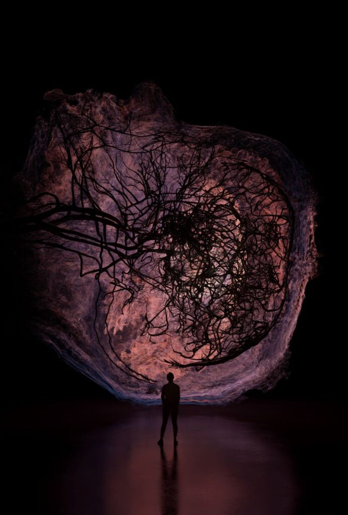 Evolver