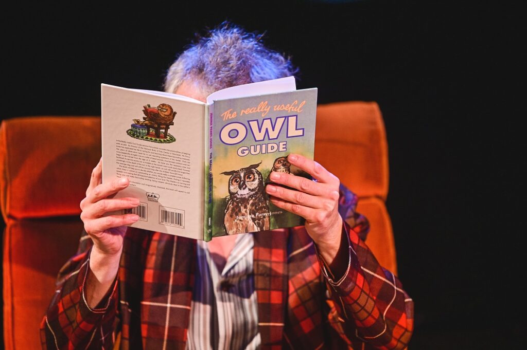 Owl At Home - credit Kirsten McTernan