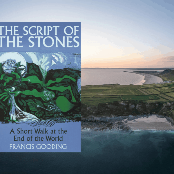 The Script Of The Stones - Francis Gooding